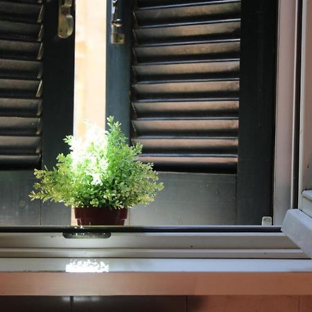 Colosseum New Charming Apartment Roma Ngoại thất bức ảnh